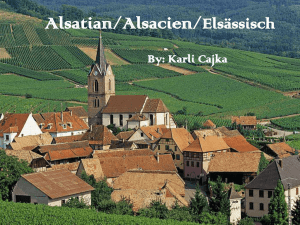 Alsatian/Alsacien/Elsässisch