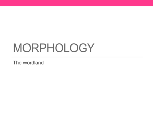 Morphology - mersindilbilim.info