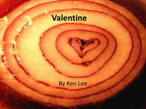 Ken, Valentine