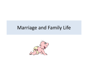 Revision Lesson Marriage and Family life