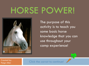 Horse Power! - WordPress.com