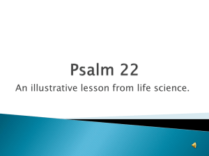 Psalm 22 Presentation