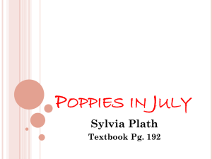 Poppies in July - Miss O` Connell`s English Class