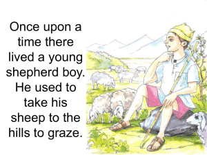 Once upon a time there lived a young shepherd boy. He