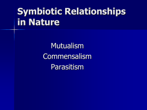 Symbiotic Relationships in Nature