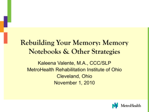 Memory Notebooks & Other Strategies