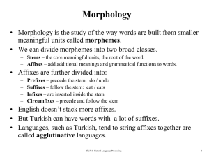 lec03-morpohology