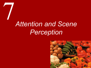 Attention and Scene Perception