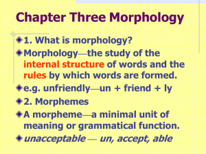 Chapter 3 Morphology..