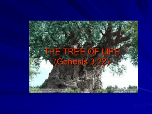 THE TREE OF LIFE (Genesis 3:22)