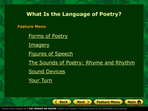 What Is the Language of Poetry?