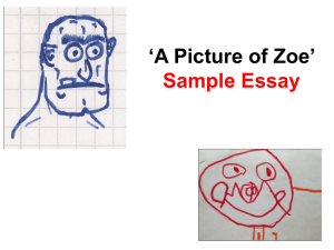 `A Picture of Zoe` Sample Essay