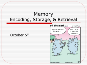Memory Encoding, Storage, & Retrieval