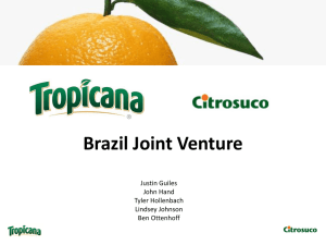 Brazil Joint Venture