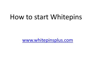 How to start Whitepins - AMAS-Team