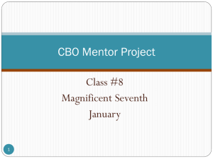 CBO Mentor Session 8 Overview