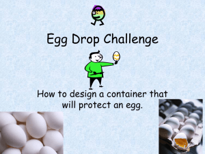 Egg Drop Challenge