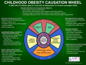 CHILDHOOD OBESITY CAUSATION WHEEL In 2007 20% of