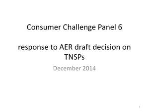 CCP sub-panel 6 presentation (1)