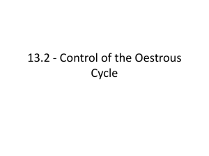 Control of the Oestrous Cycle