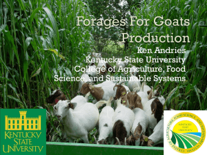 Alternative Forages For Goats