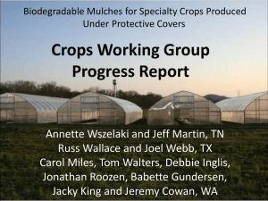 Crops WG Progress Report ppt