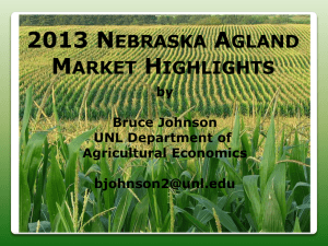 Nebraska Agland Market Highlights (4/17/2013)