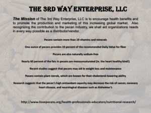 View Our Power Point - Logo, THE 3RD WAY ENTERPRISE, LLC.