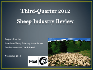 Third Quarter November 2012 - Lamb Check Off > American Lamb