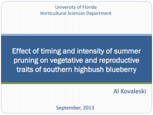 Effect of timing and intensity of summer pruning on vegetative and