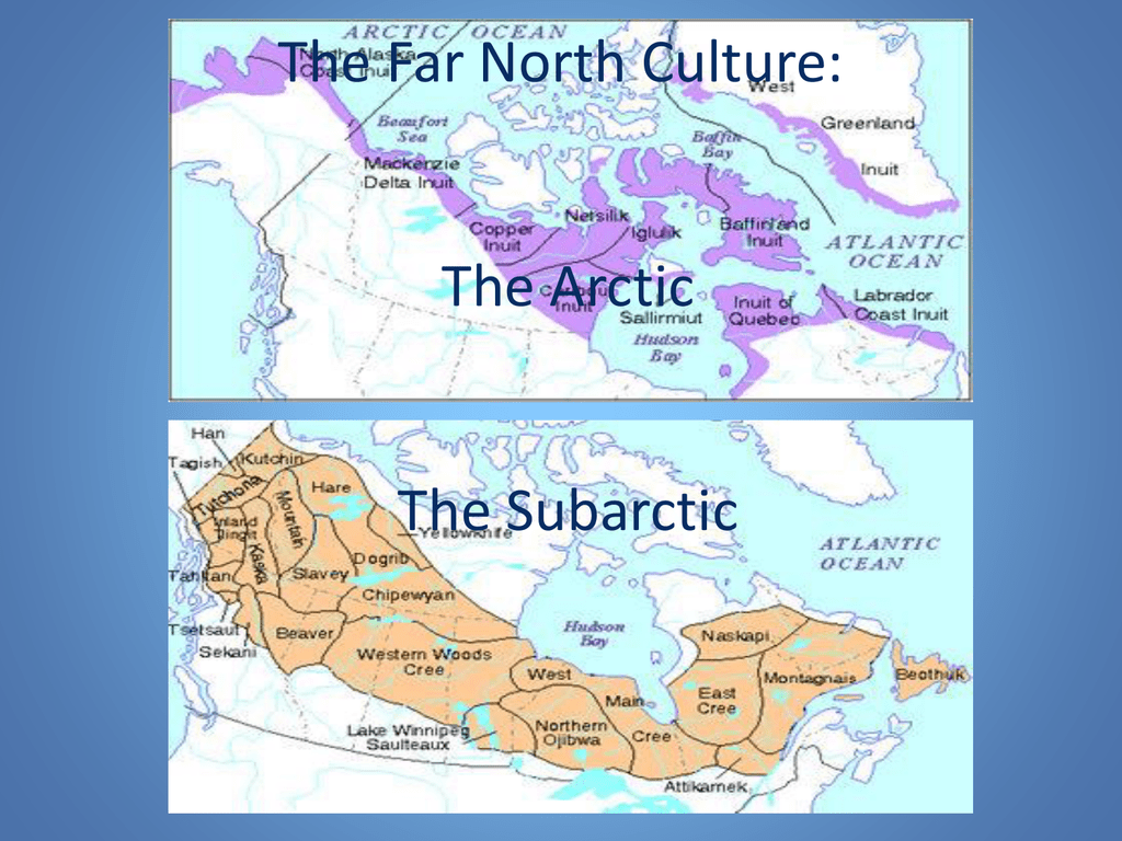 Arctic subarctic. North Culture. Far North перевод. Субарктика на карте. Farther north