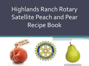 Highlands Ranch Rotary Satellite Peach and Pear Recipe Book