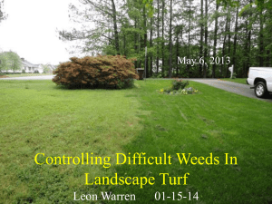 Controlling Difficult Weeds in the Landscapes