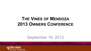 PowerPoint - The Vines of Mendoza