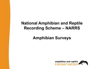 narrs amphibian surveys and field techniques