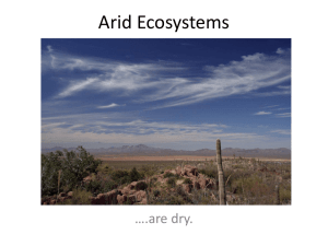 Arid Ecosystems - Global Change Biology