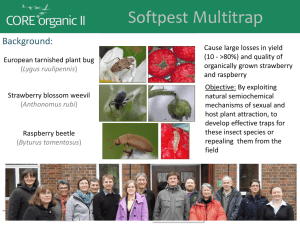 Presentation from Softpest Multitrap