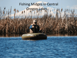 Fishing Midges in Central Oregon Lakes