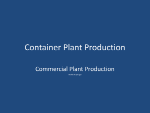 Container Plant Production
