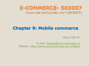 E-COMMERCE- 503007 (www.cse.hcmut.edu.vn/~c503007)