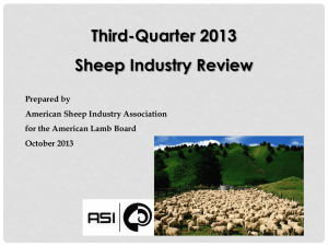 Third Quarter 2013 - Lamb Check Off > American Lamb Board