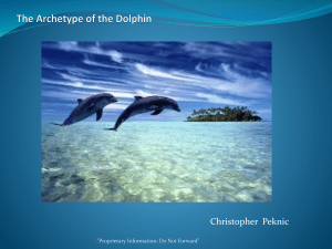 The Archetype of the Dolphin