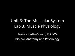 Muscle Physiology - CCS Faculty Websites