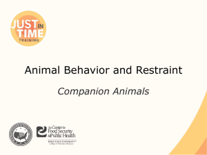 Animal Behavior and Restraint: Companion Animal