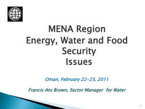 MENA Region Energy, Water and Food Security Issues