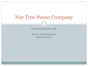 Marketing pecans through Nut Tree Pecan Company