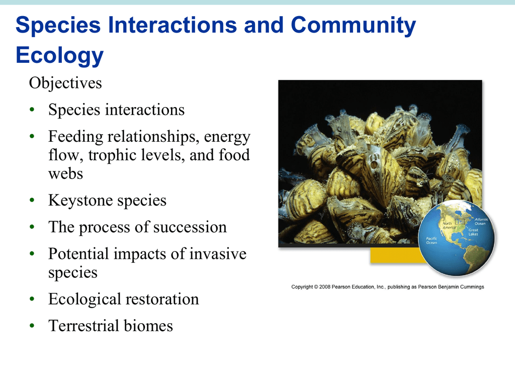 What Is Community Ecology Example