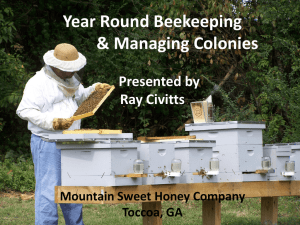 2014 GBA Presentation - Mountain Sweet Honey