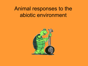 Animal responses to the abiotic environment