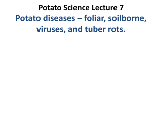Potato Science – Lecture 7 nolte 014